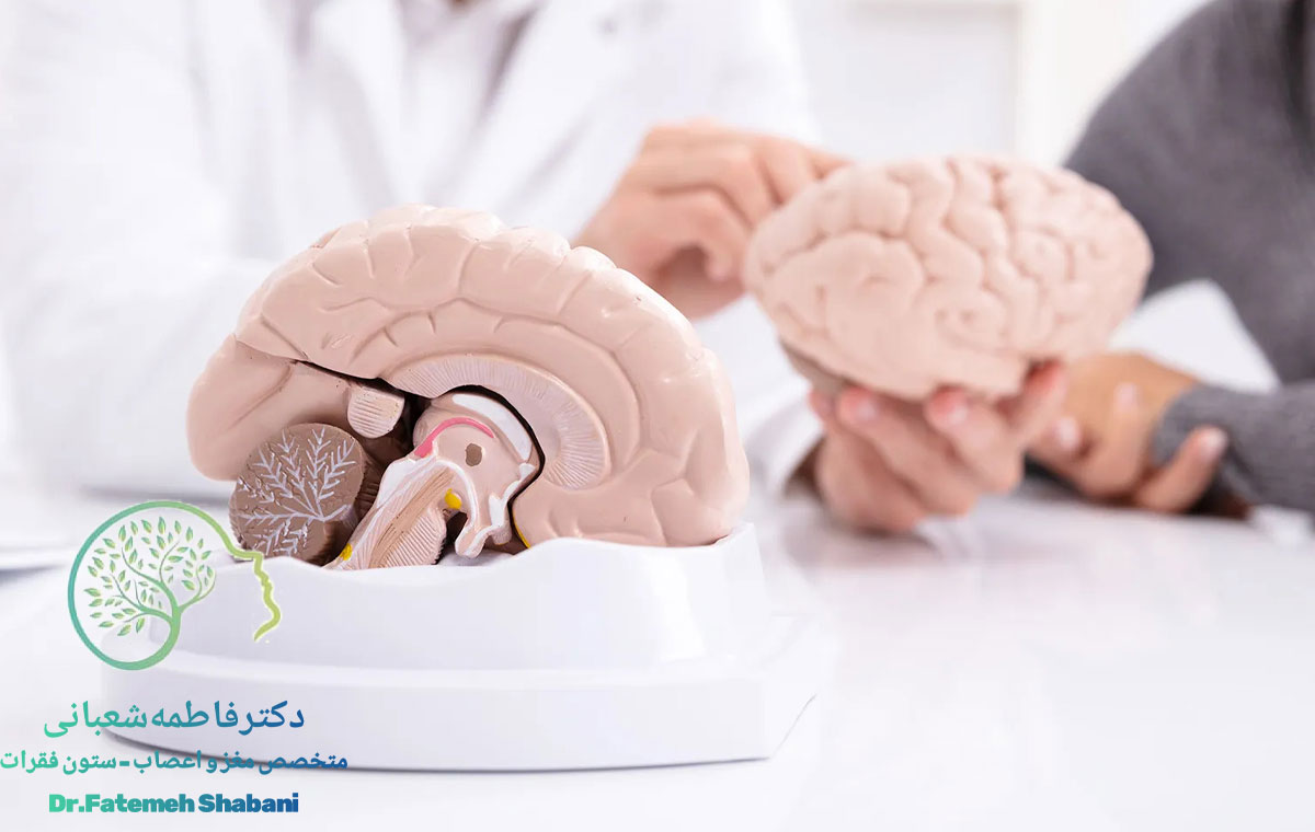 بهترین متخصص مغز و اعصاب برای سردرد